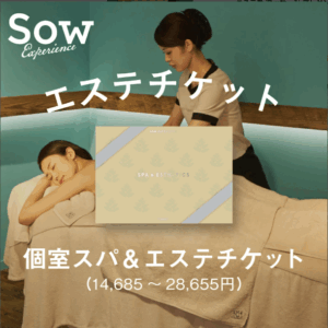 SOW EXPERIENCE エステチケット