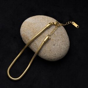LOSE FORD 316L Snake Chain Anklet