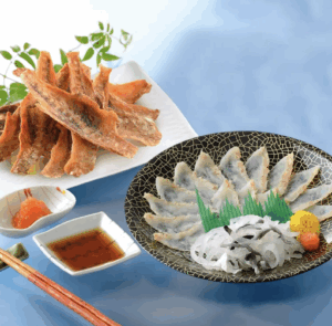 関とら本店 ふぐ晩酌セット